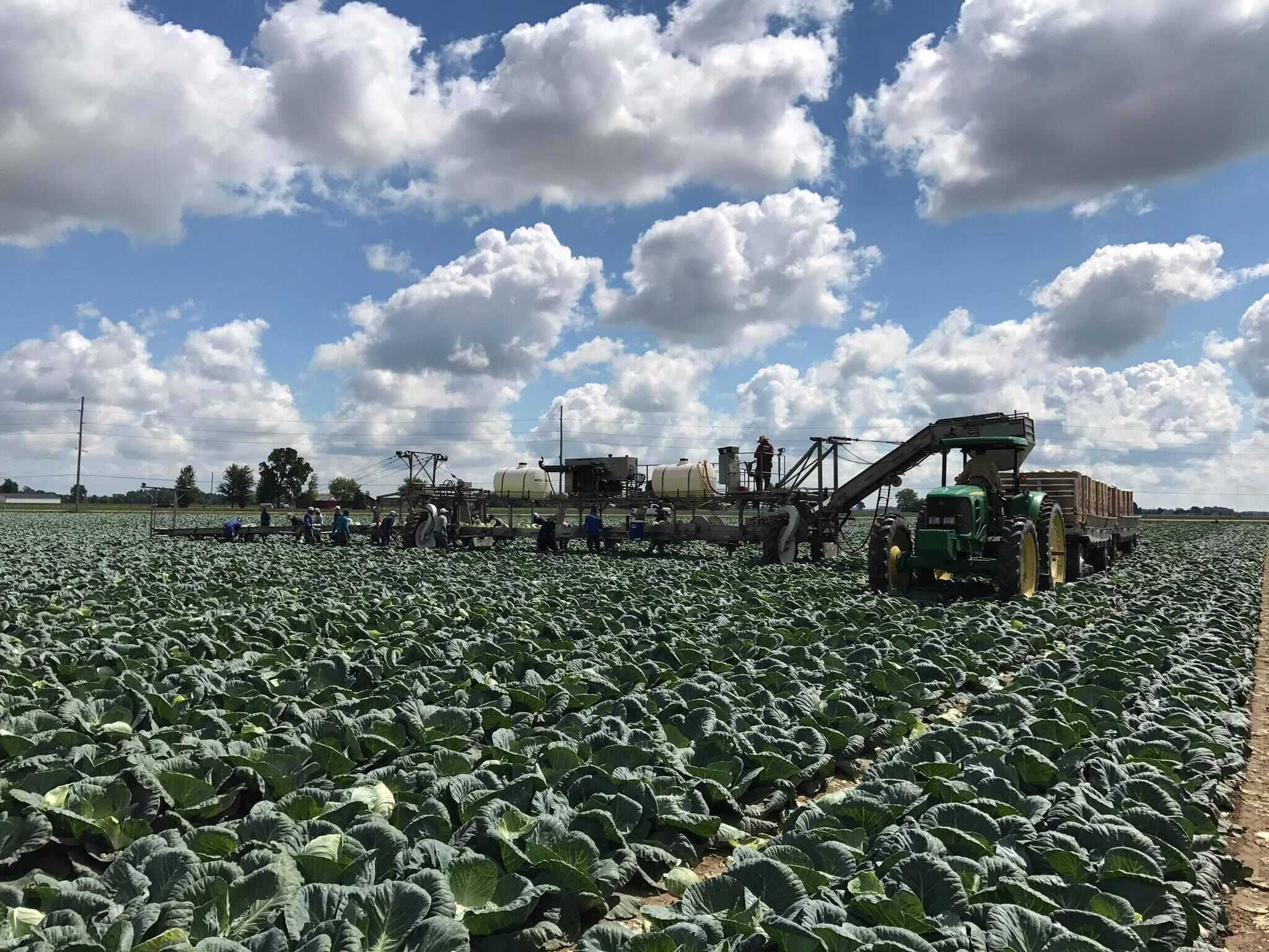 Photo Gallery Rothert Farm Inc.