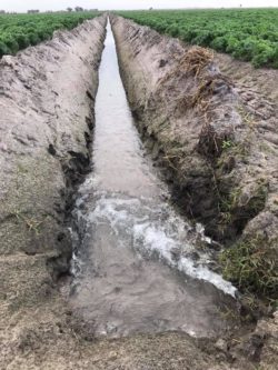water canal in fields