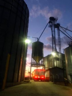 Grain plants storage bins