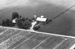Rothert's Farm 1966