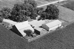 Rothert's Farm 1982